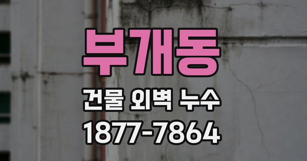 부개동 건물 외벽 누수
