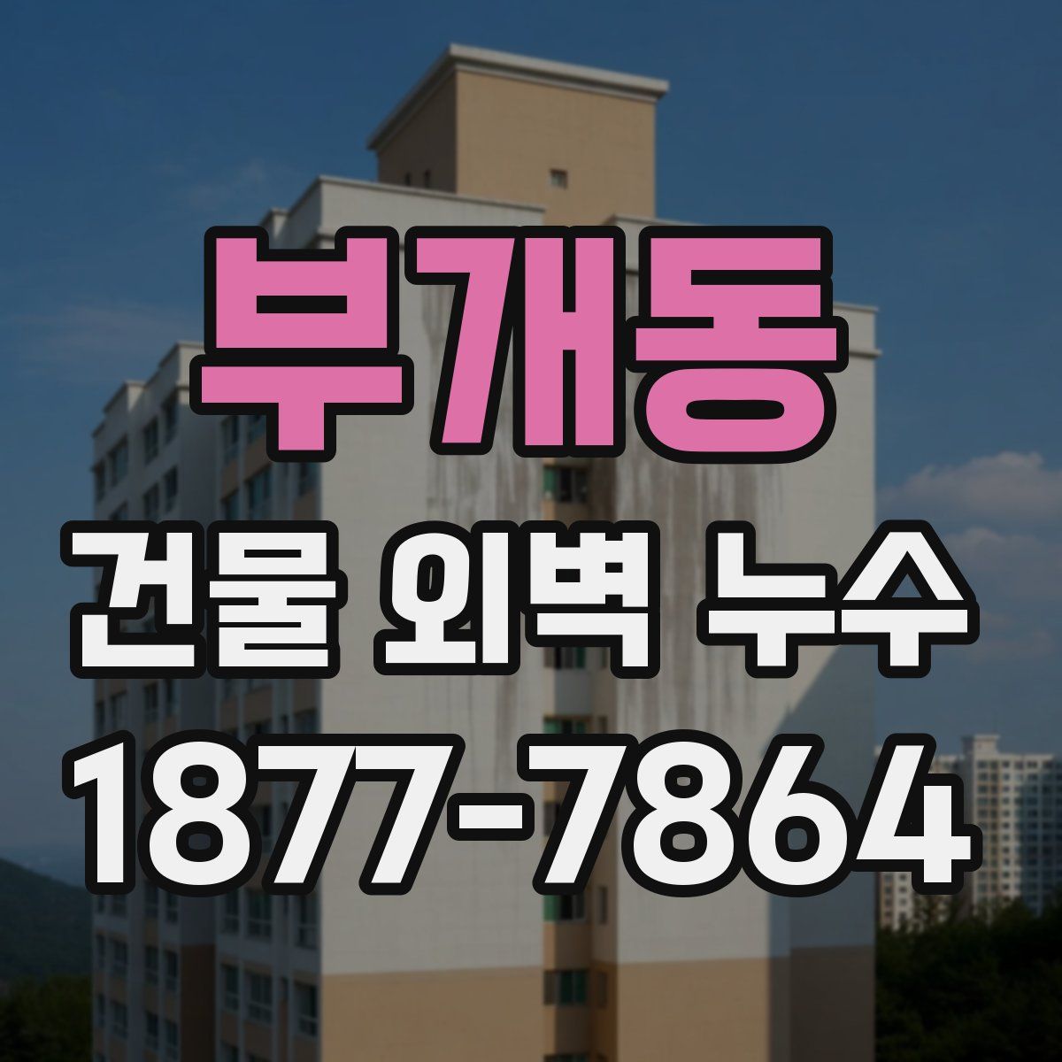 부개동 건물 외벽 누수