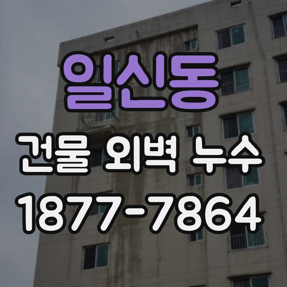 일신동 건물 외벽 누수