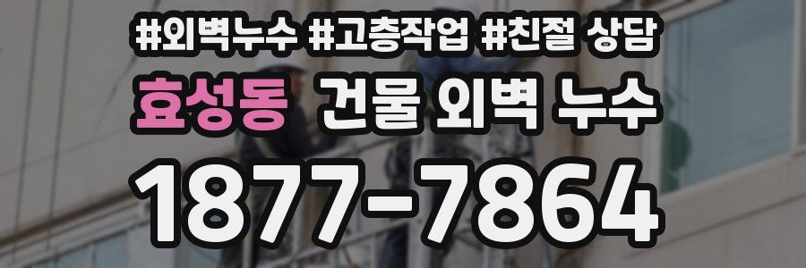 효성동 건물 외벽 누수