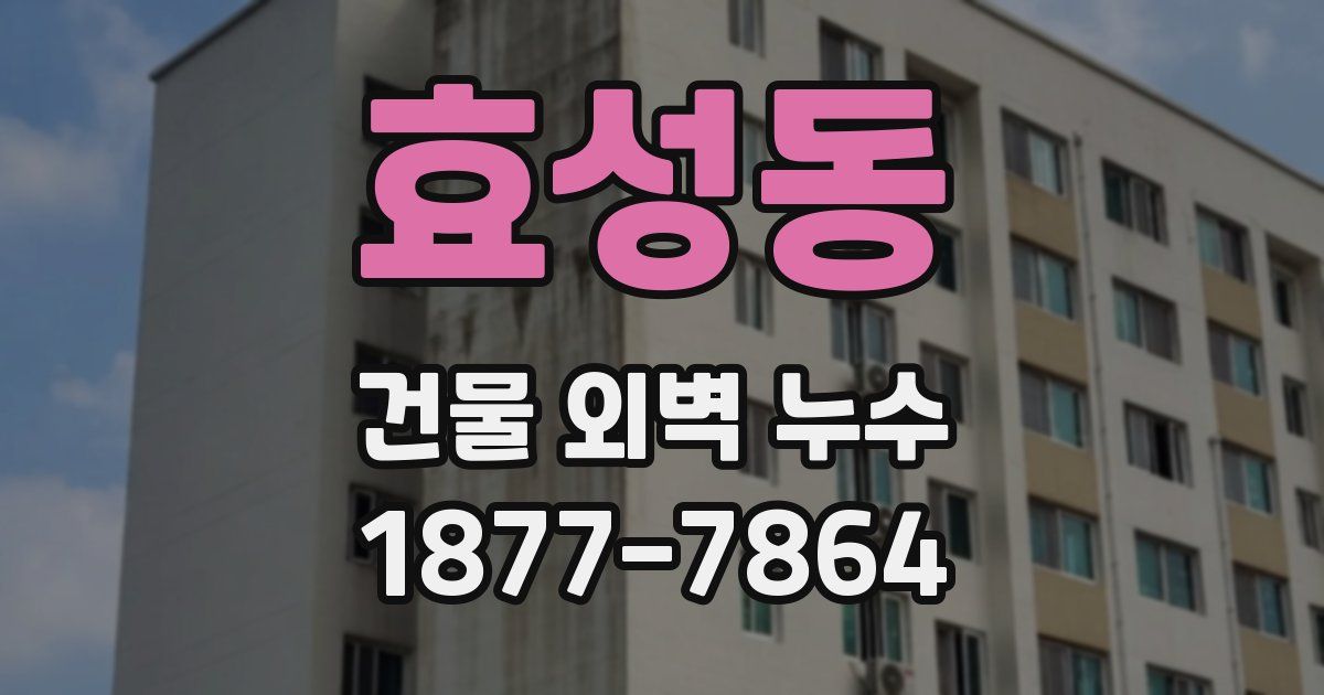 효성동 건물 외벽 누수