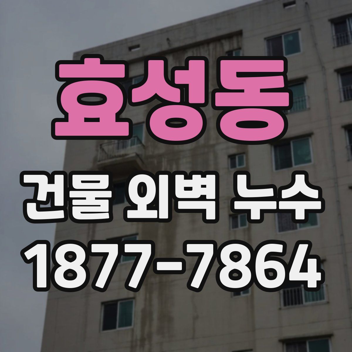 효성동 건물 외벽 누수
