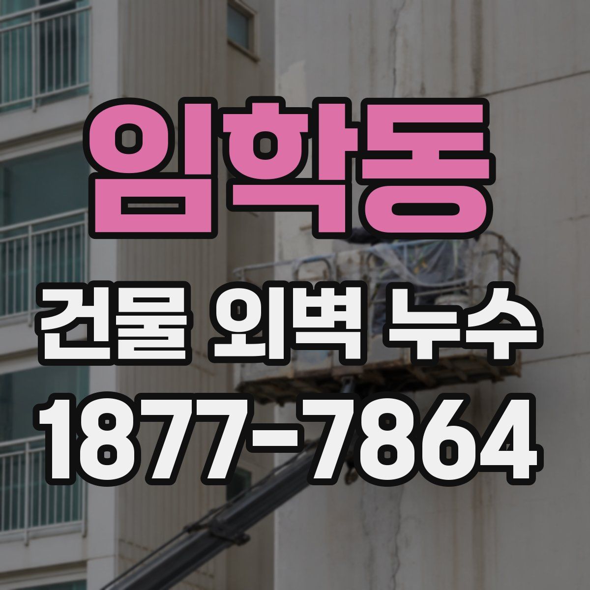 임학동 건물 외벽 누수