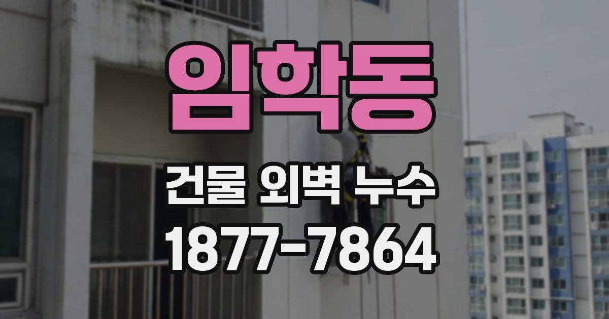 임학동 건물 외벽 누수