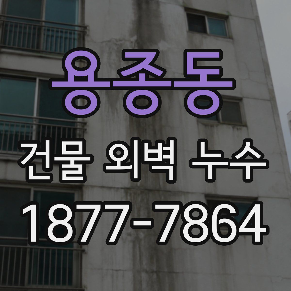 용종동 건물 외벽 누수