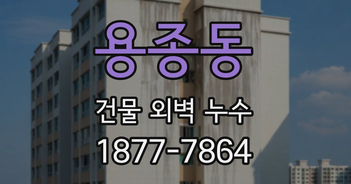 용종동 건물 외벽 누수