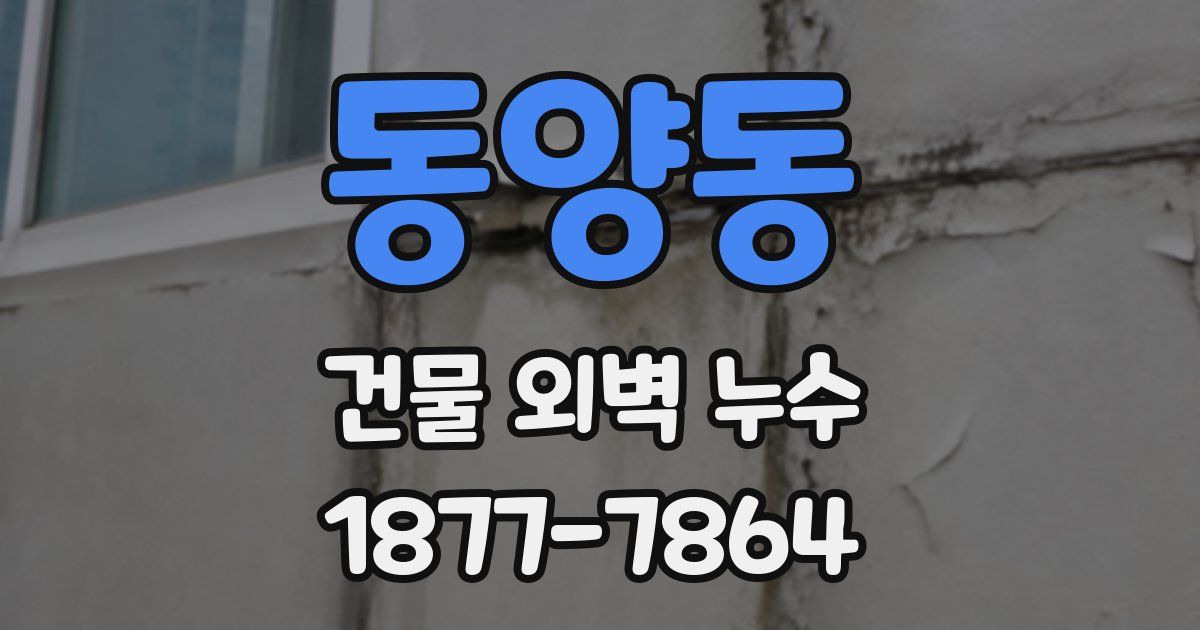 동양동 건물 외벽 누수