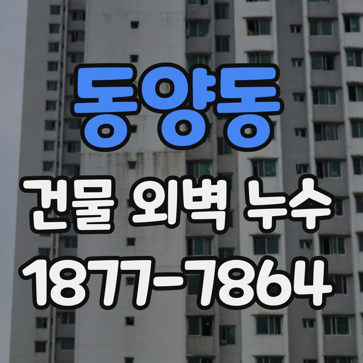 동양동 건물 외벽 누수