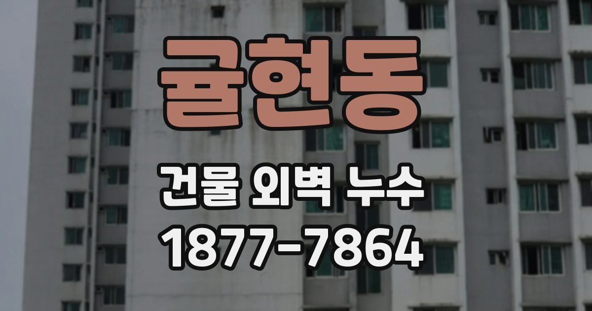 귤현동 건물 외벽 누수