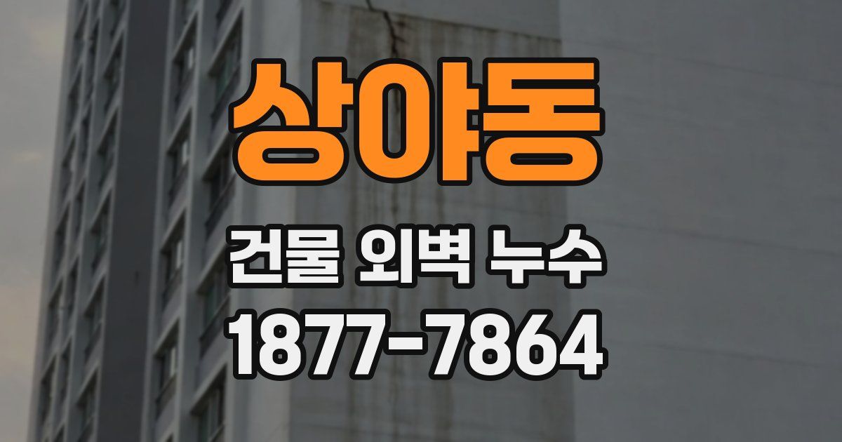 상야동 건물 외벽 누수