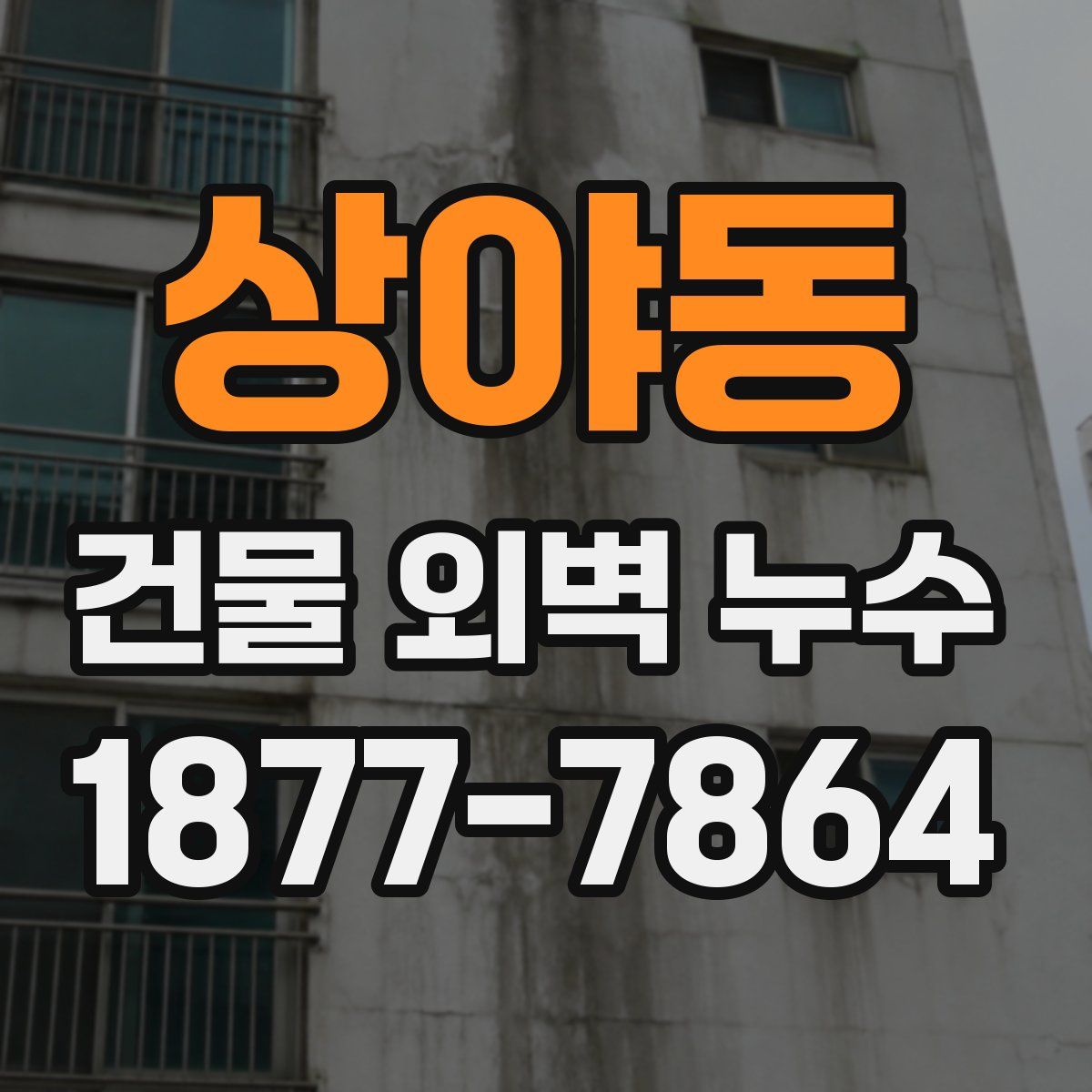 상야동 건물 외벽 누수