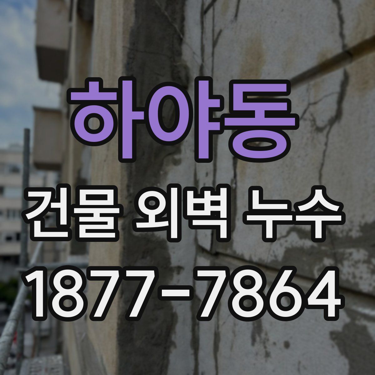 하야동 건물 외벽 누수
