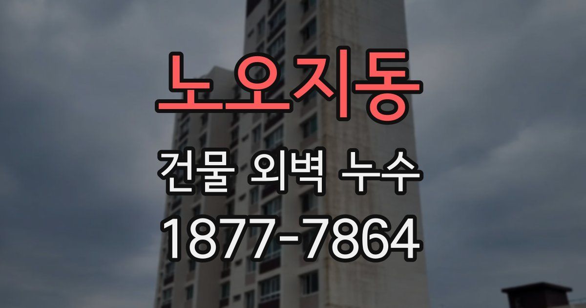노오지동 건물 외벽 누수
