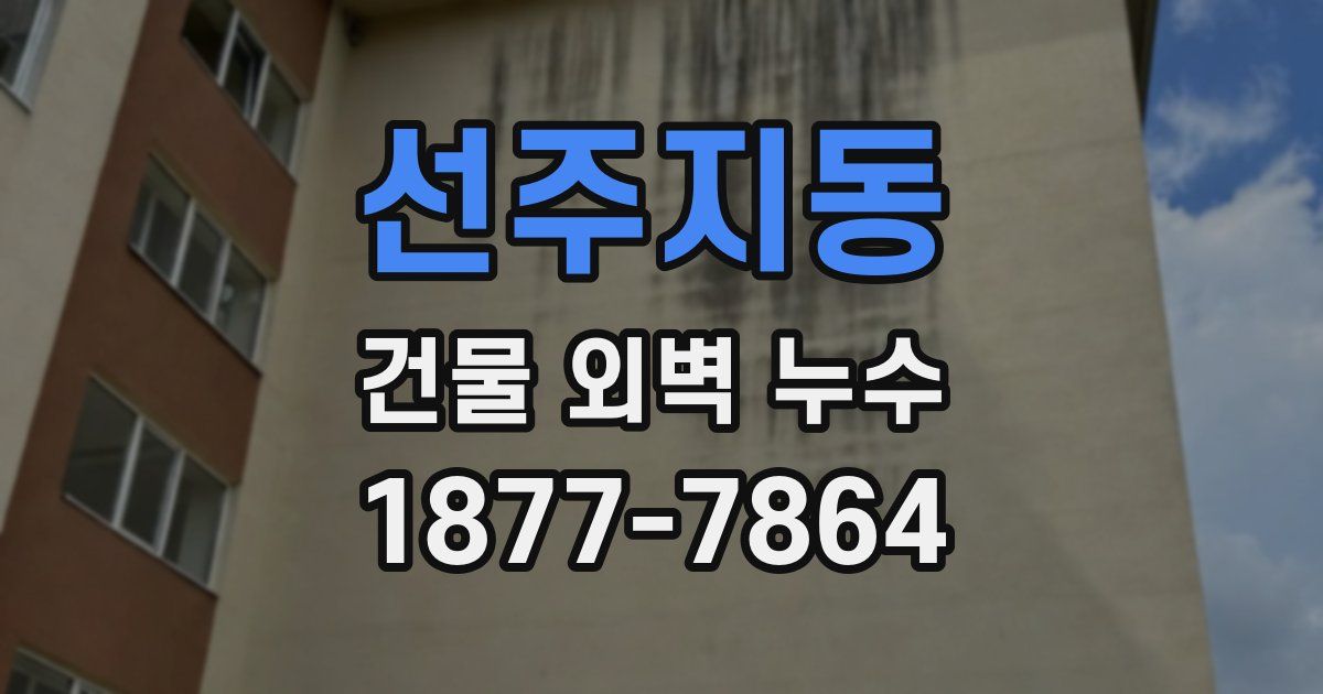 선주지동 건물 외벽 누수