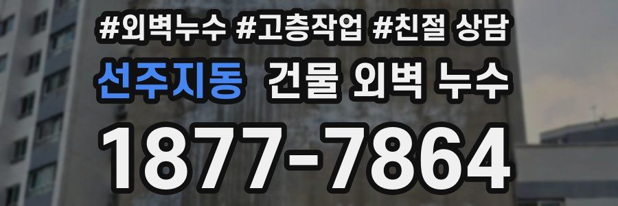 선주지동 건물 외벽 누수
