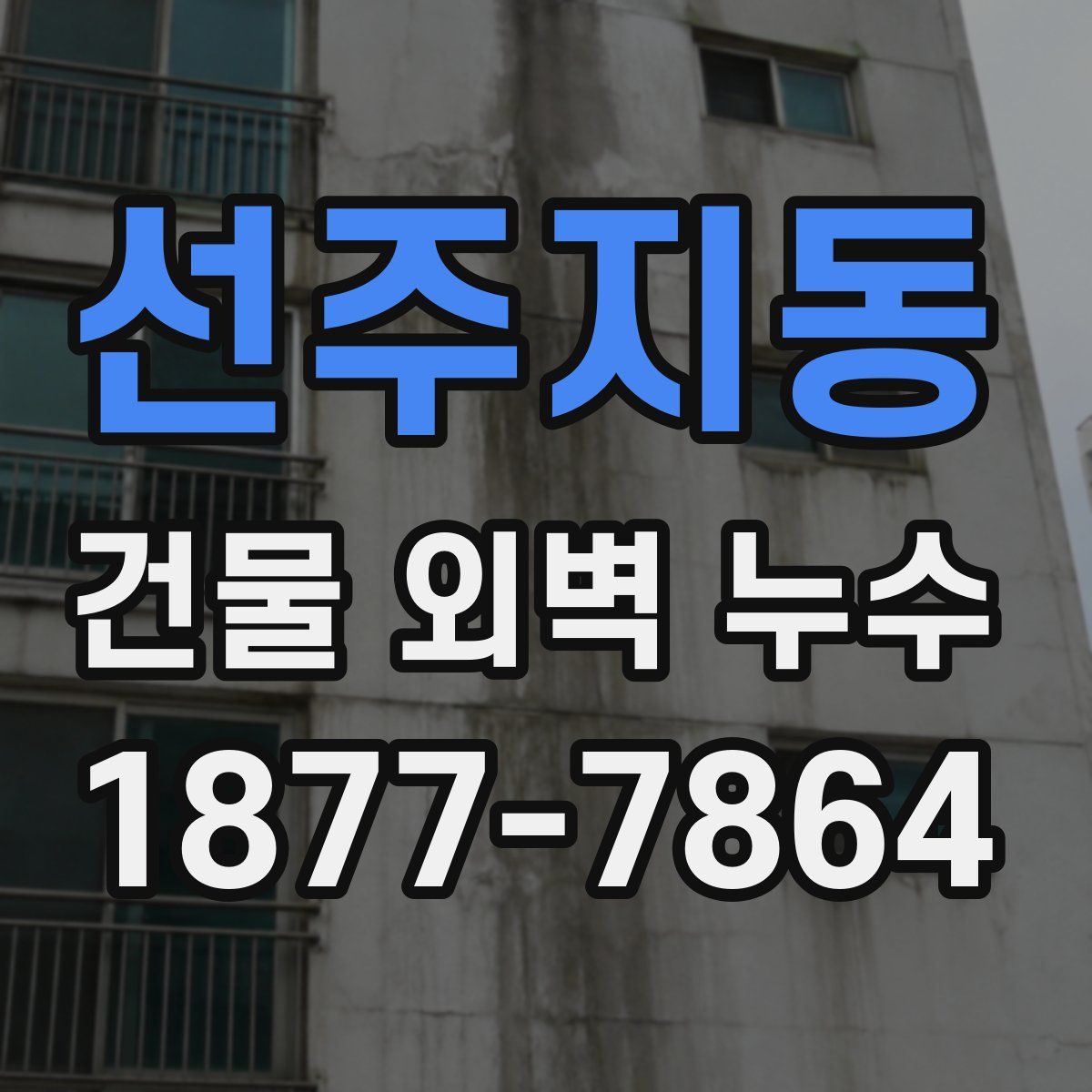 선주지동 건물 외벽 누수