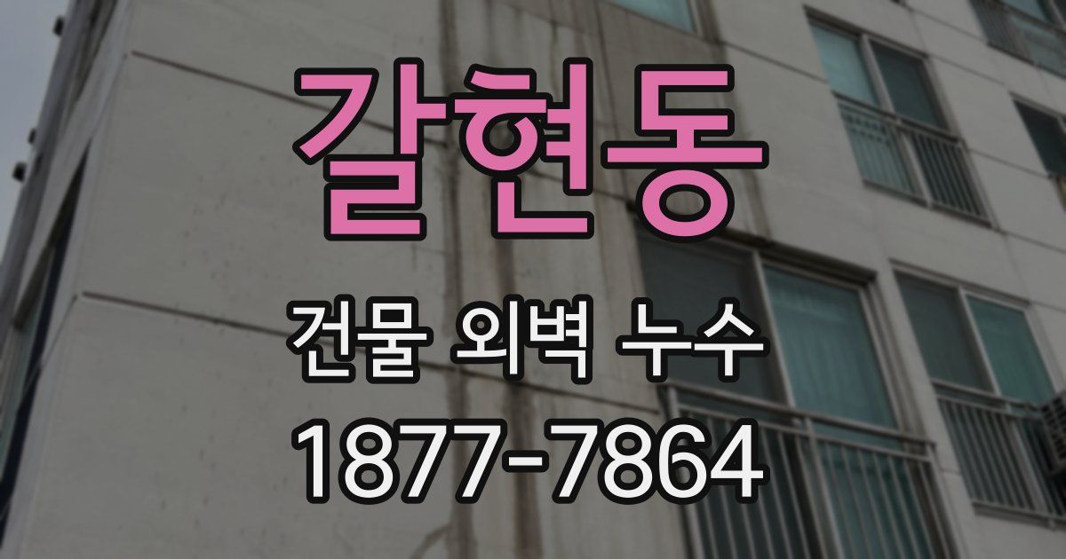 갈현동 건물 외벽 누수