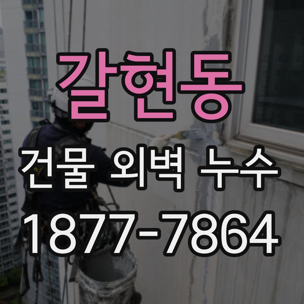 갈현동 건물 외벽 누수