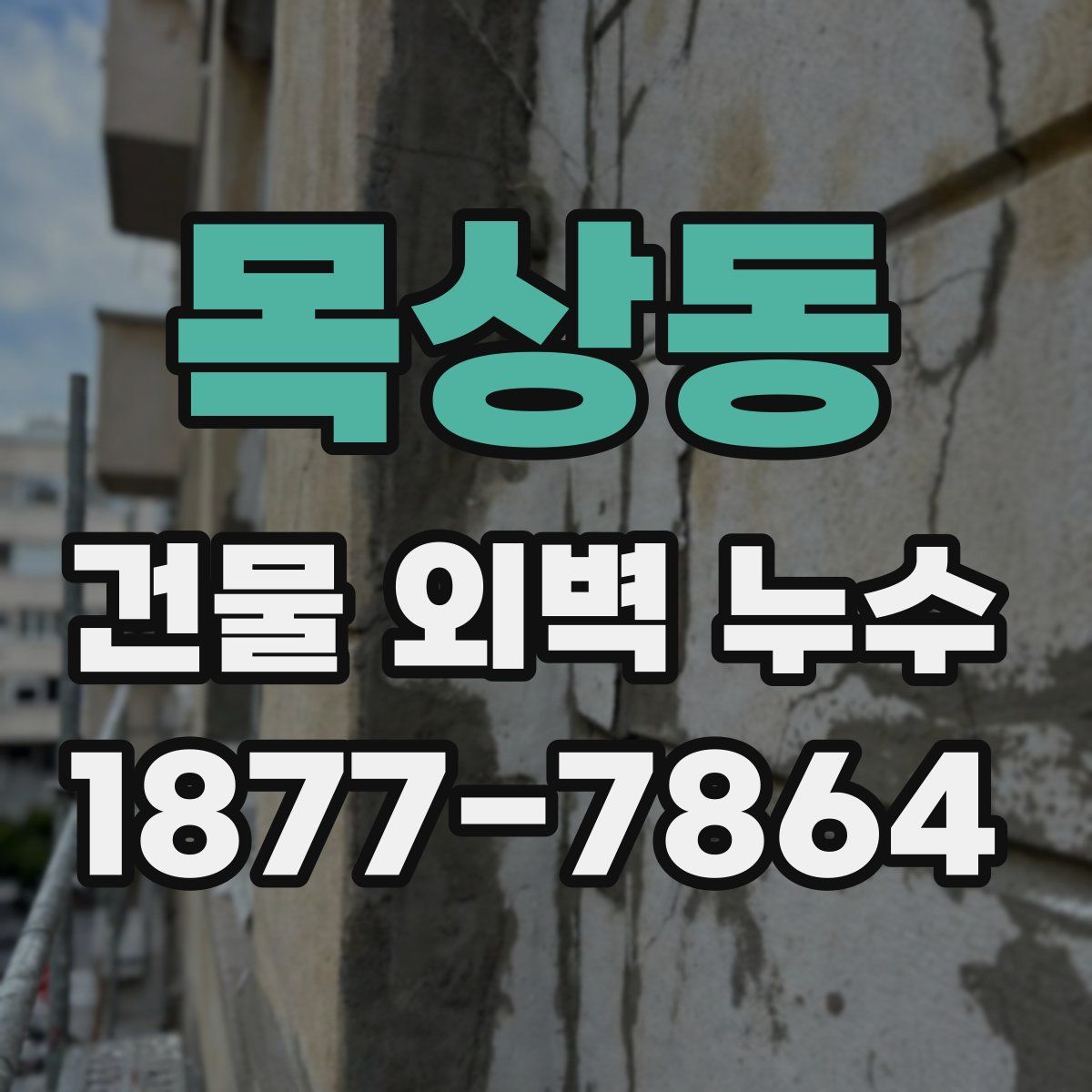 목상동 건물 외벽 누수