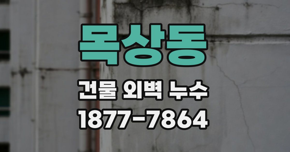 목상동 건물 외벽 누수