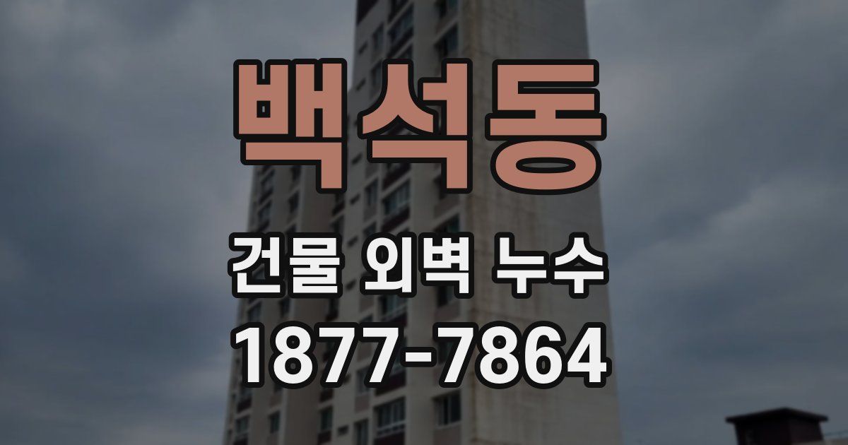 백석동 건물 외벽 누수