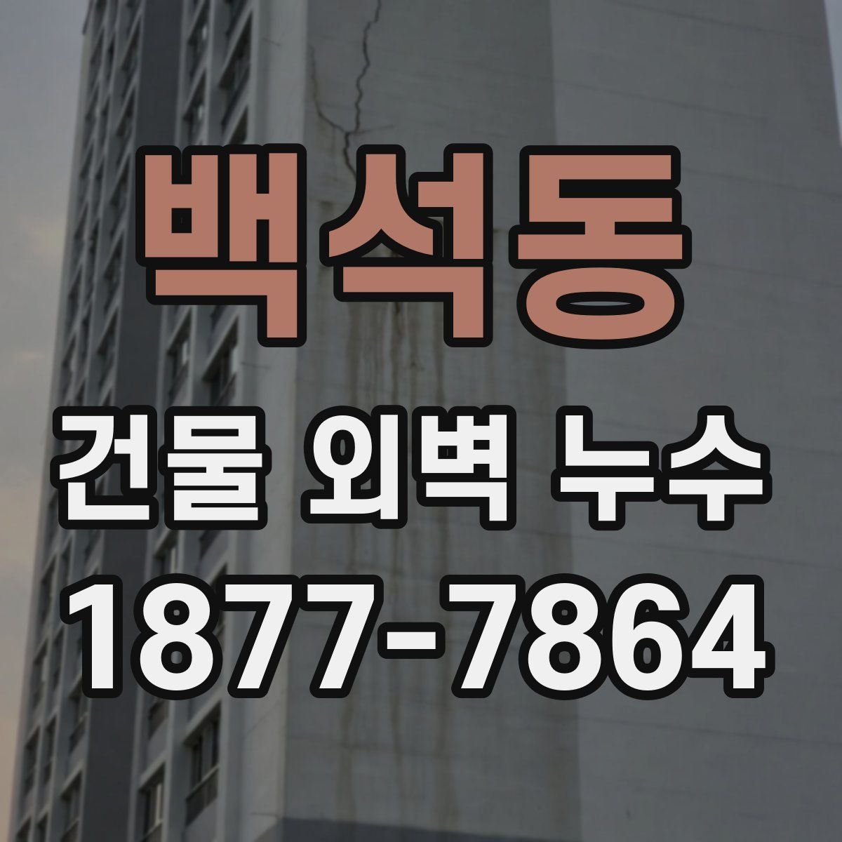 백석동 건물 외벽 누수