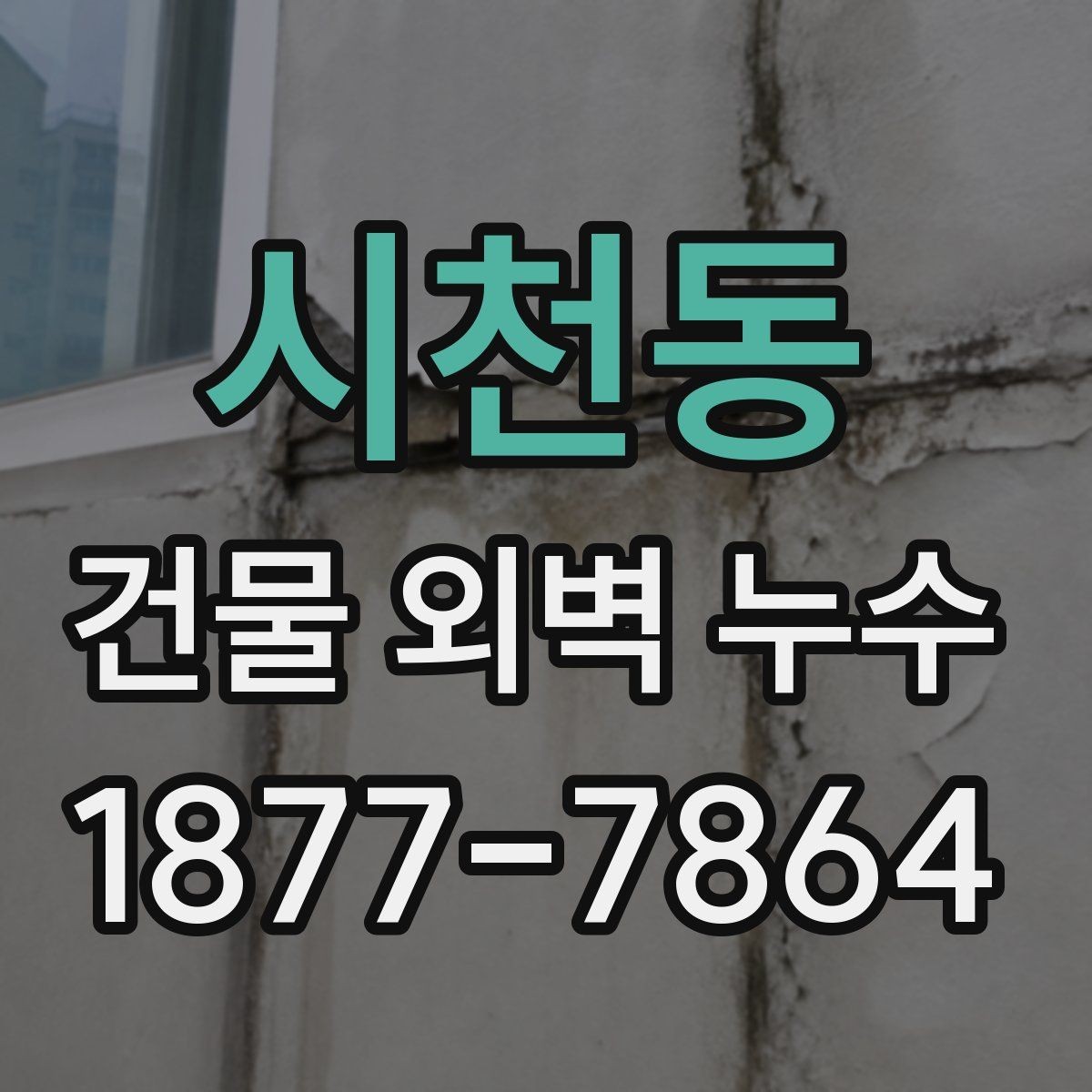 시천동 건물 외벽 누수 원인 파악을 위한 현장 확인