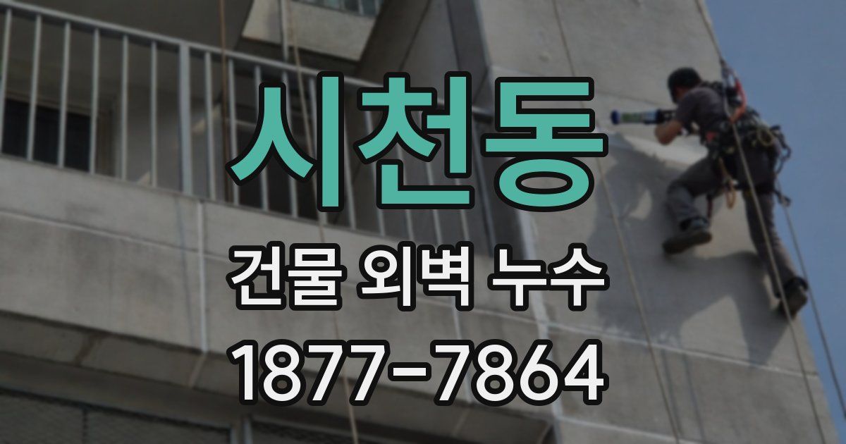 시천동 건물 외벽 누수