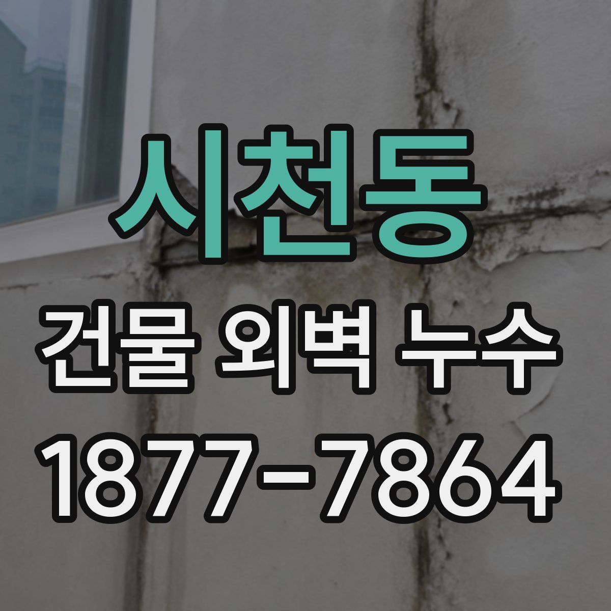 시천동 건물 외벽 누수