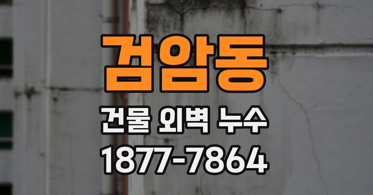 검암동 건물 외벽 누수