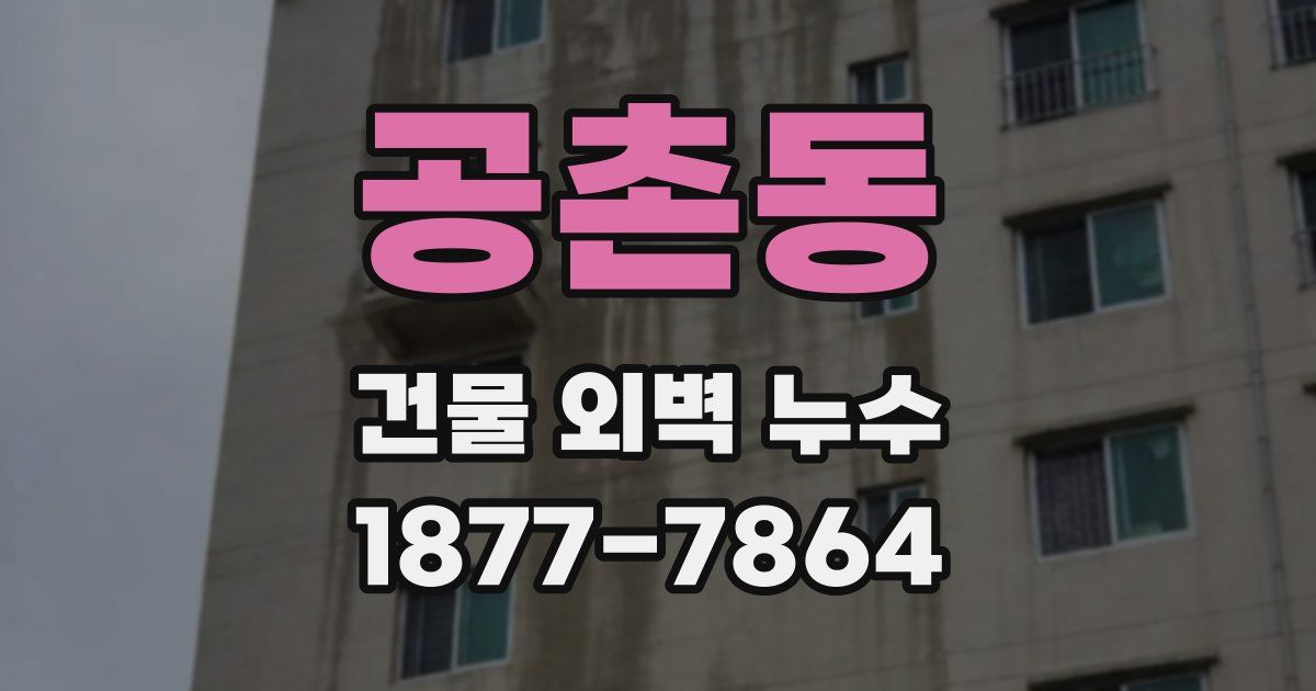 공촌동 건물 외벽 누수