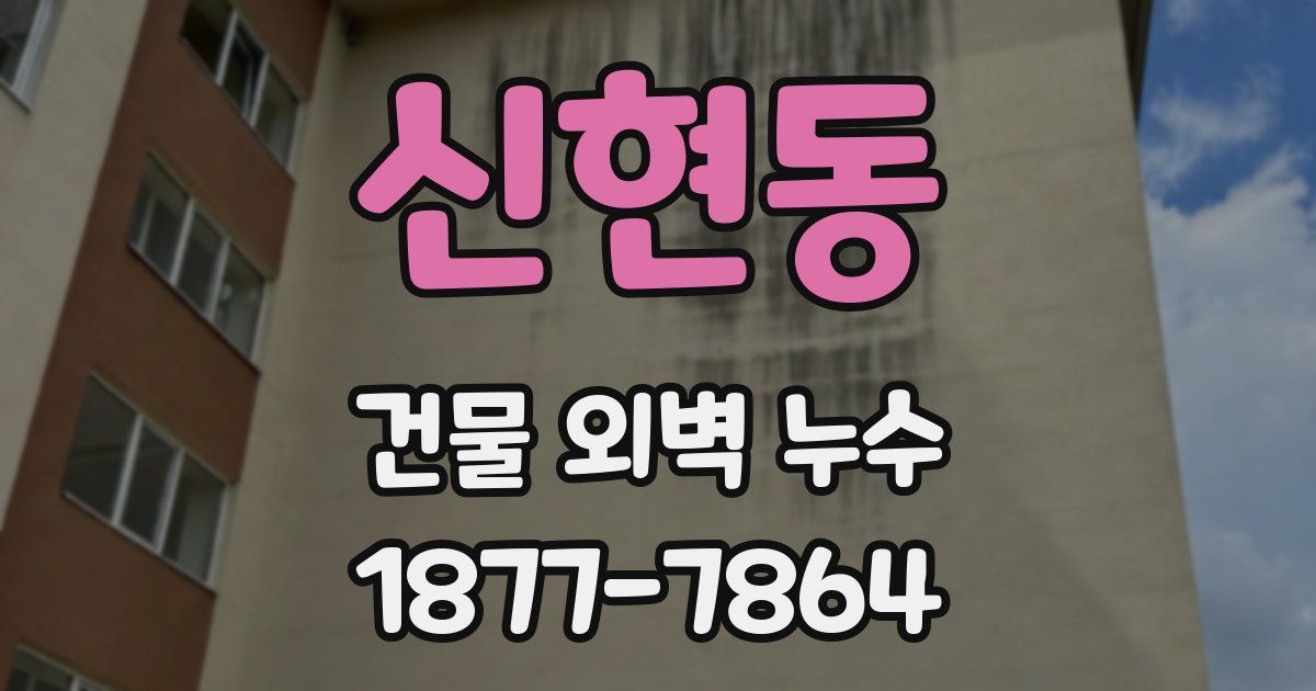신현동 건물 외벽 누수
