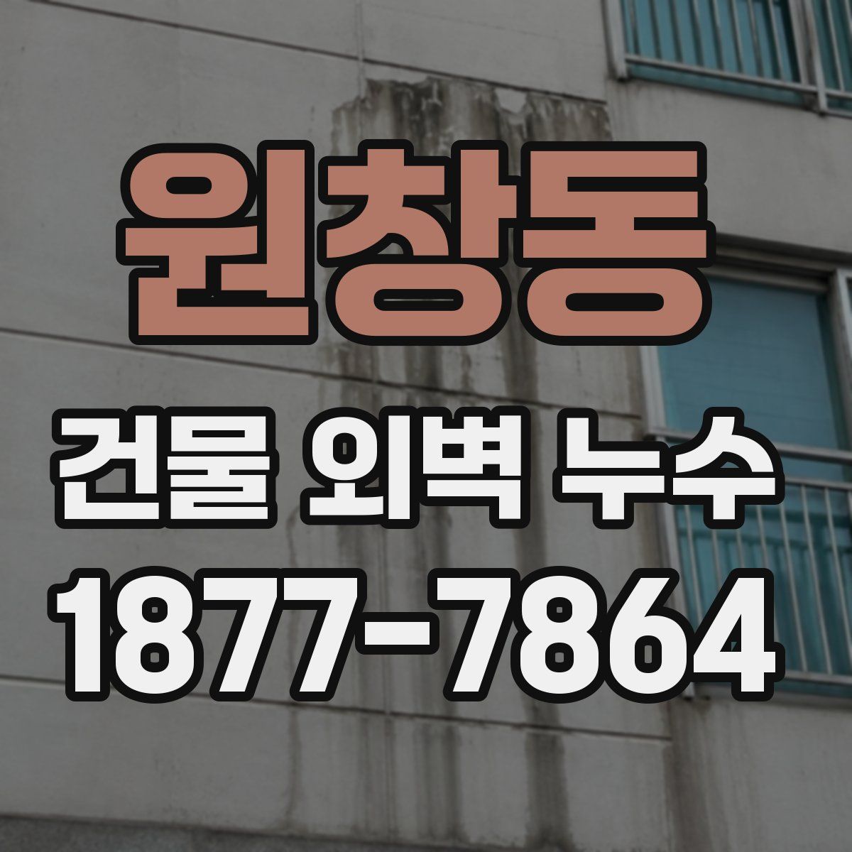 원창동 건물 외벽 누수