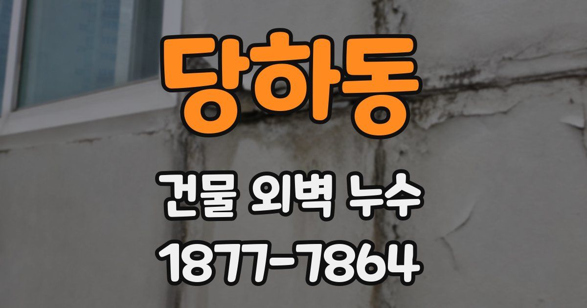 당하동 건물 외벽 누수