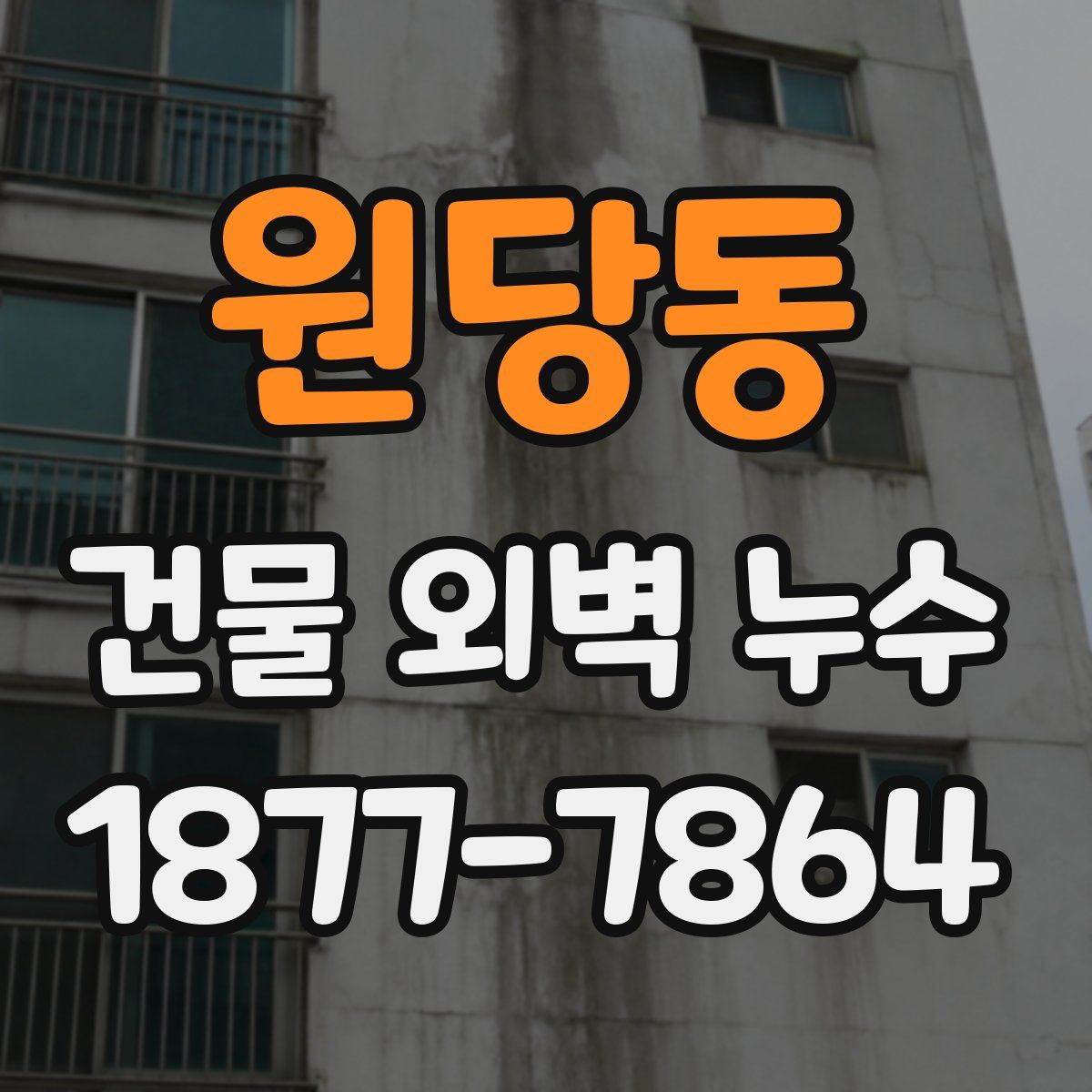 원당동 건물 외벽 누수