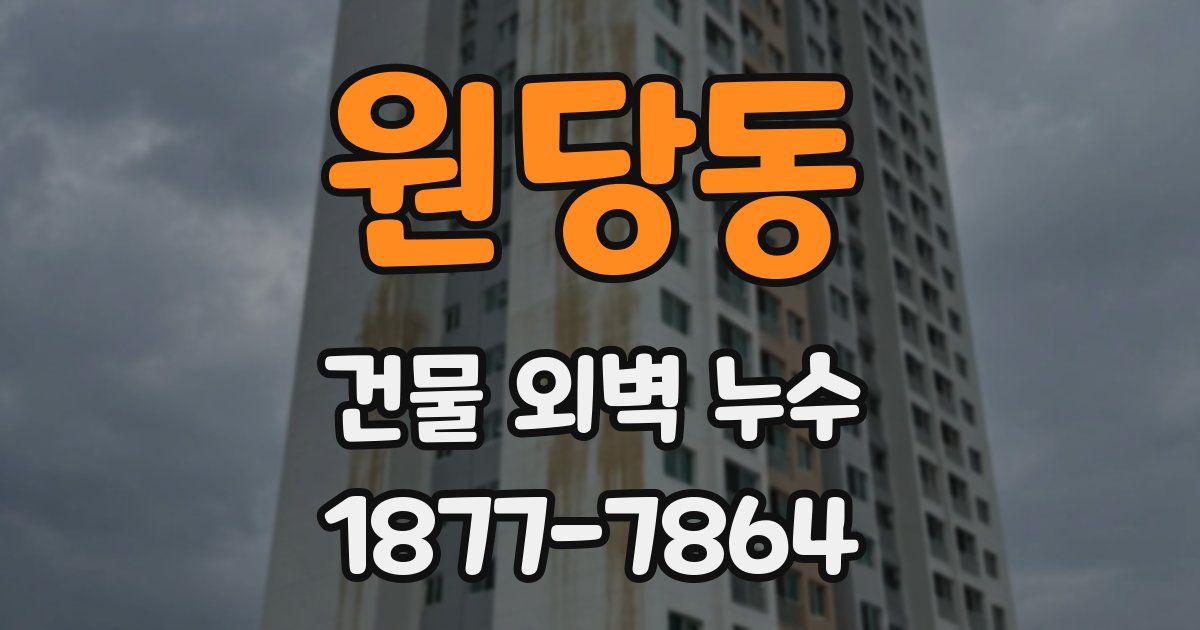원당동 건물 외벽 누수