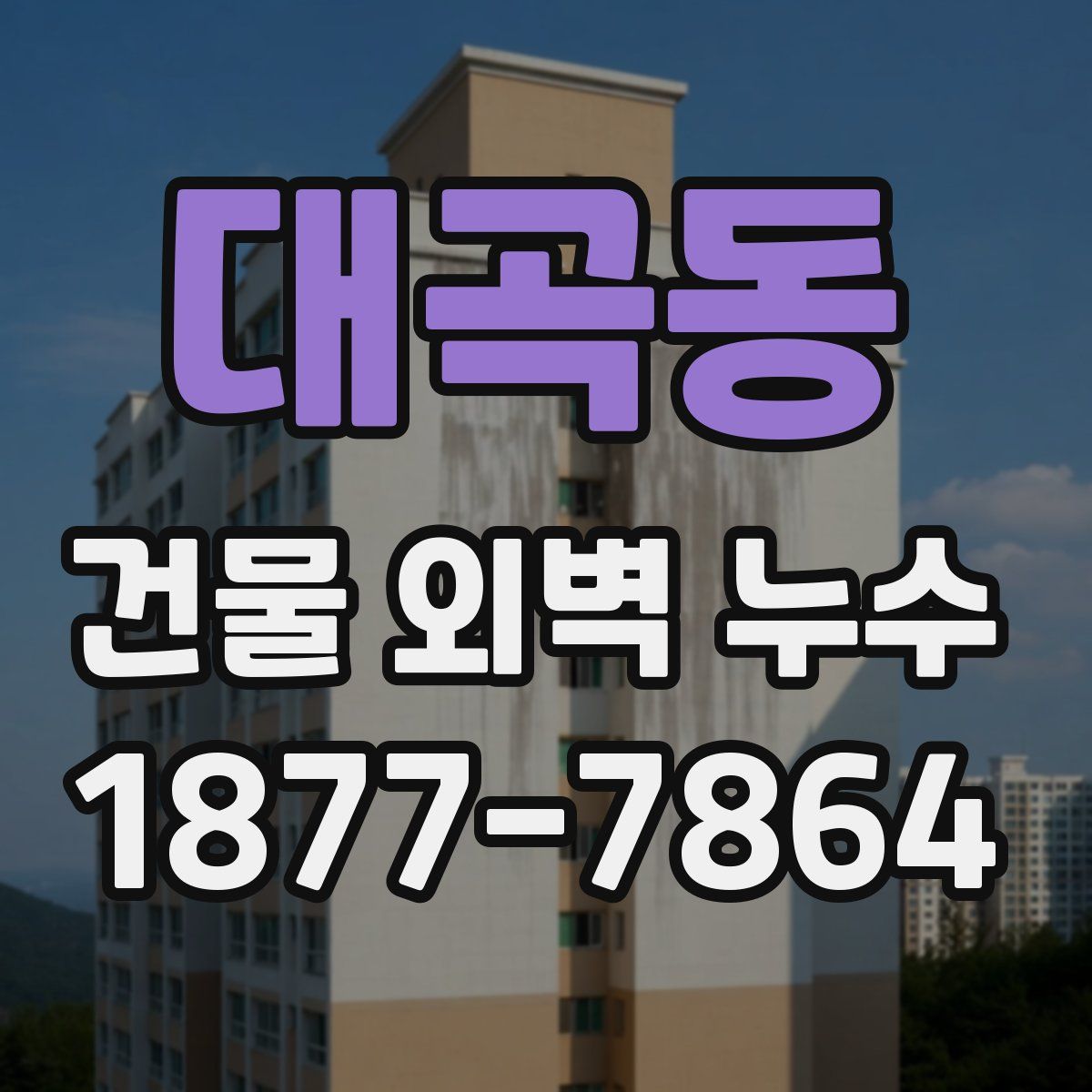 대곡동 건물 외벽 누수