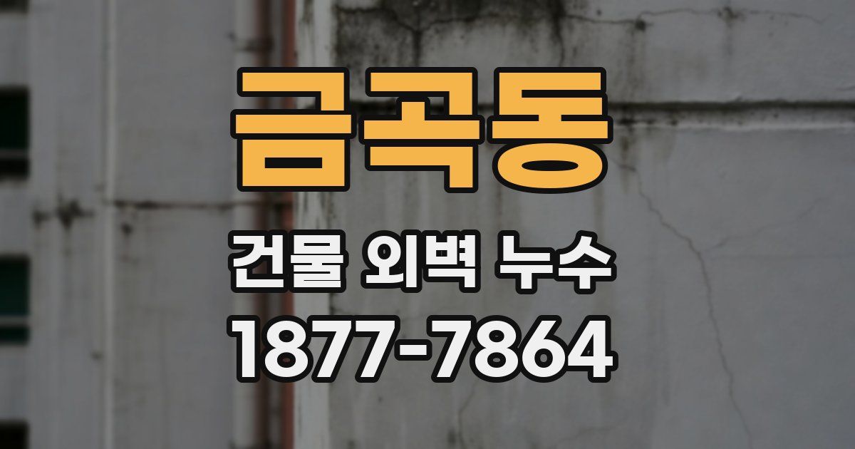 금곡동 건물 외벽 누수