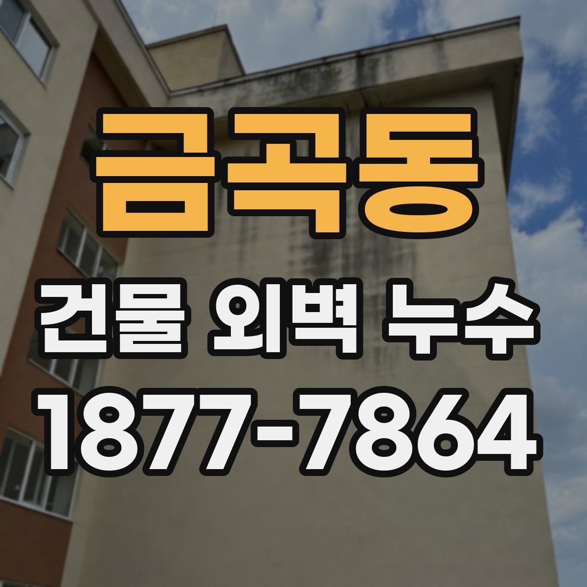 금곡동 건물 외벽 누수