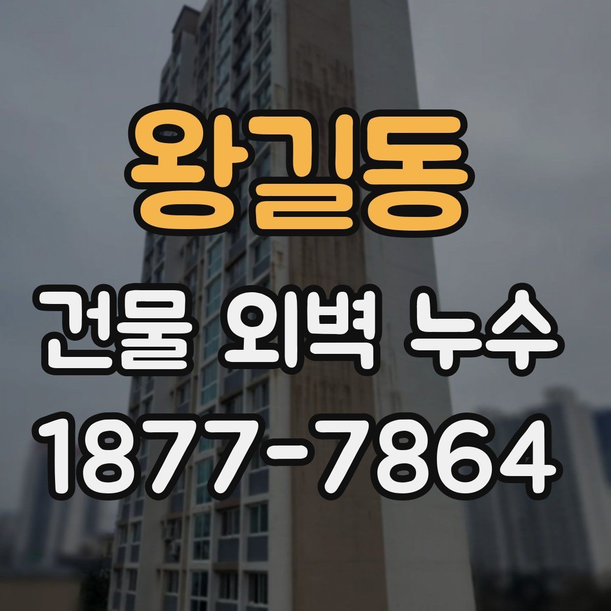 왕길동 건물 외벽 누수 공사 견적서에서 살필 항목