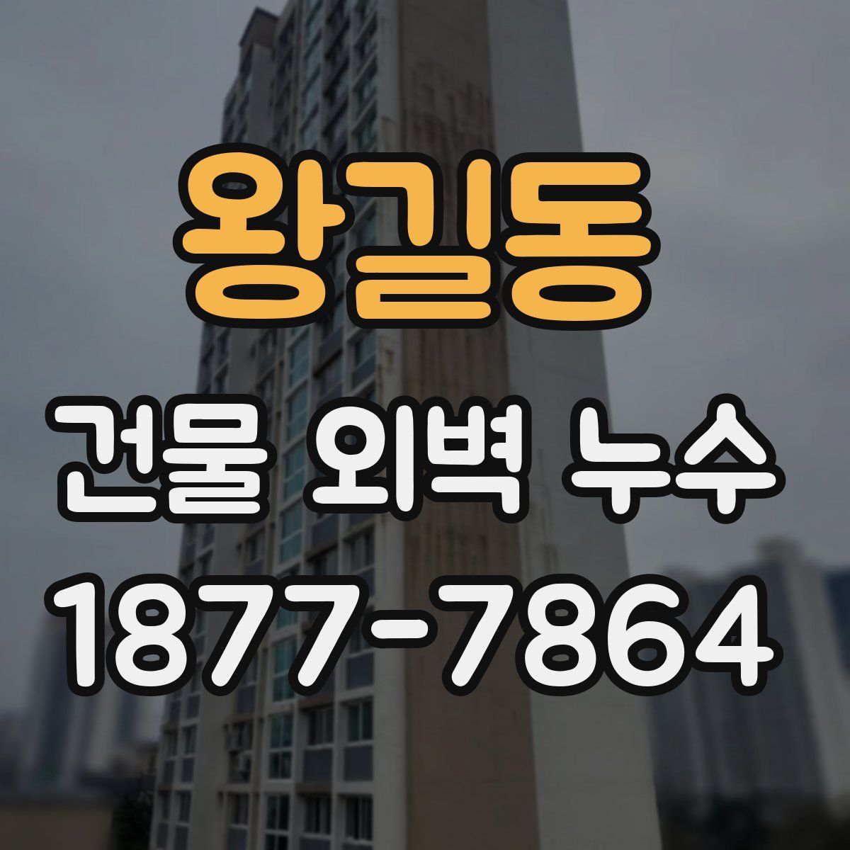 왕길동 건물 외벽 누수
