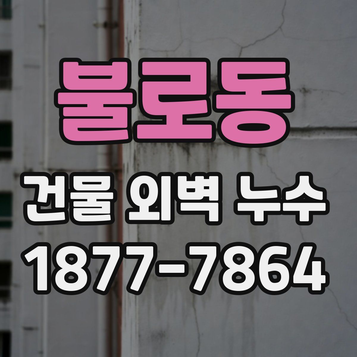 불로동 건물 외벽 누수