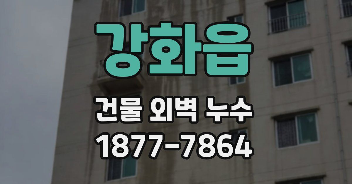 강화읍 건물 외벽 누수
