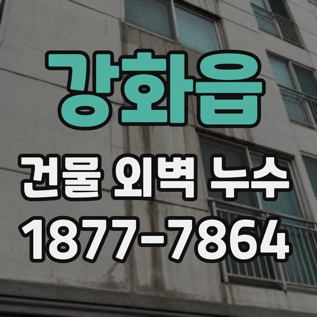 강화읍 건물 외벽 누수