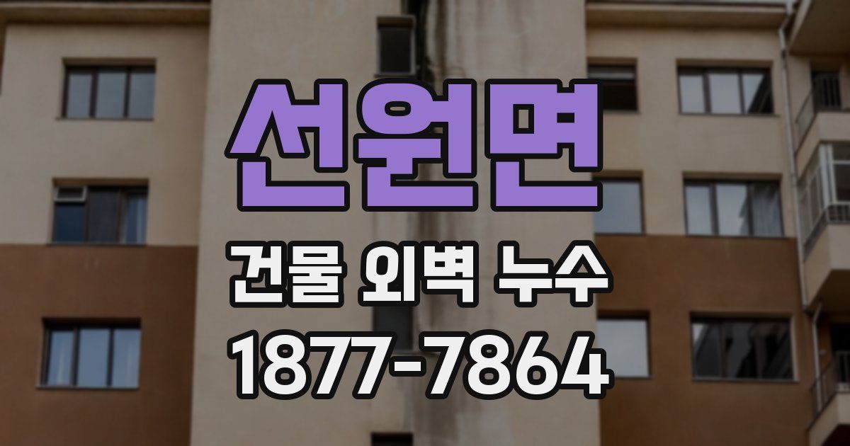 선원면 건물 외벽 누수