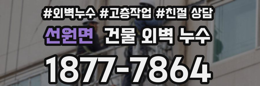 선원면 건물 외벽 누수