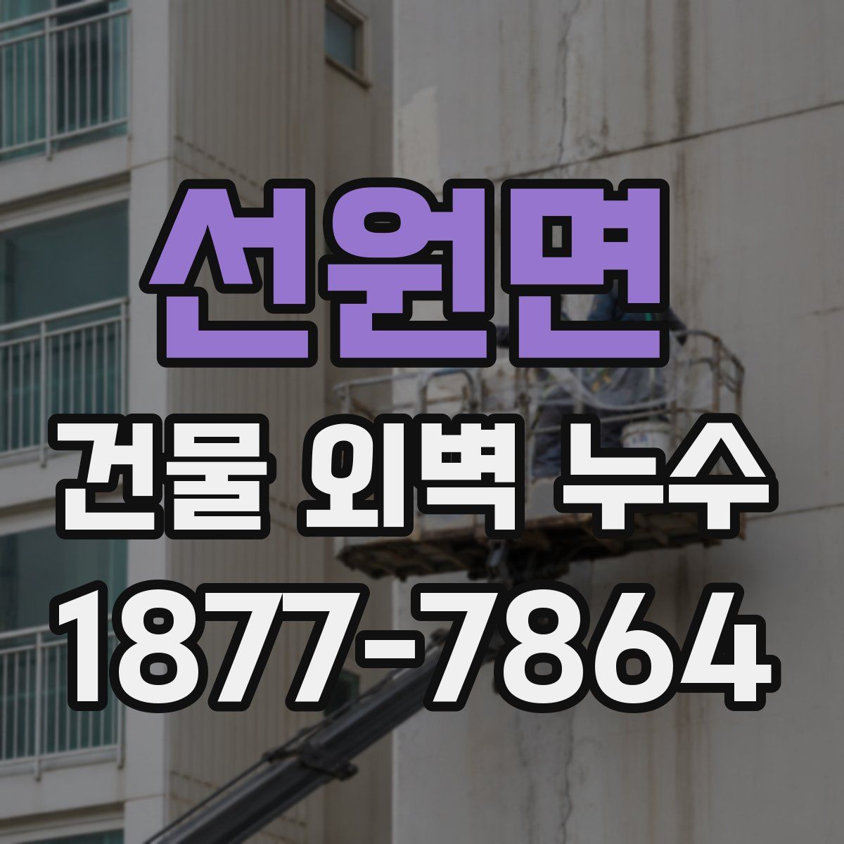 선원면 건물 외벽 누수