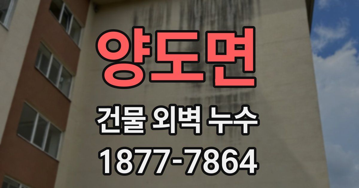 양도면 건물 외벽 누수