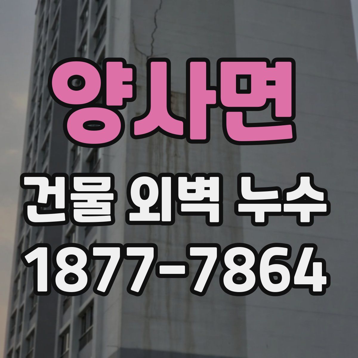양사면 건물 외벽 누수