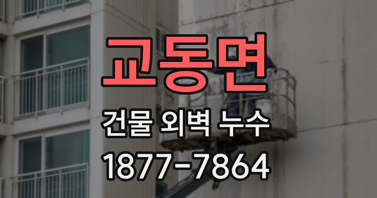 교동면 건물 외벽 누수
